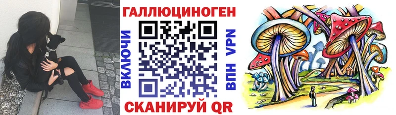 Галлюциногенные грибы Psilocybine cubensis  даркнет сайт  Елизаветинская 